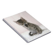 Carnet Animaux de bébés cutest | Licking Tabby Kitten (Côté Droit)