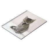 Carnet Animaux de bébés cutest | Licking Tabby Kitten (Côté gauche)