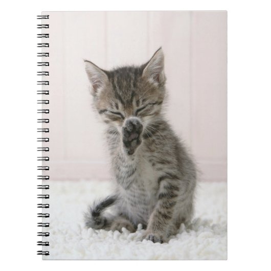 Carnet Animaux de bébés cutest | Licking Tabby Kitten (Devant)