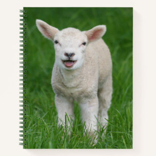 Carnet Animaux de bébés cutest Lil Lamb