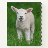 Carnet Animaux de bébés cutest | Lil Lamb (Dos)