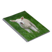 Carnet Animaux de bébés cutest | Lil Lamb (Côté Droit)