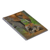 Carnet Animaux de bébés cutest | Mama Elephant & Baby (Côté Droit)