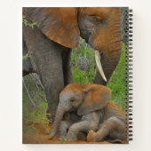 Carnet Animaux de bébés cutest | Mama Elephant & Baby (Dos)
