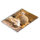 Carnet Animaux de bébés cutest | Meerkats joueurs (Côté gauche)