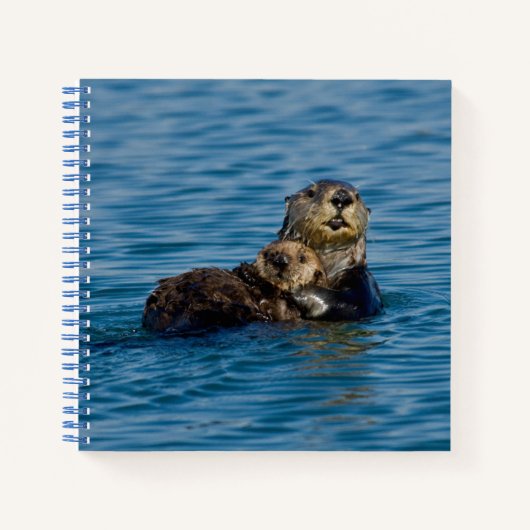 Carnet Animaux de bébés cutest | Mère & Bébé Sea Otter (Devant)