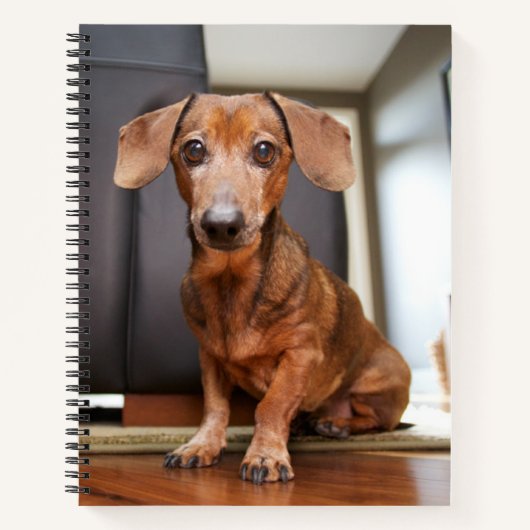 Carnet Animaux de bébés cutest | Mini chiot (Devant)