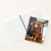 Carnet Animaux de bébés cutest | Mini chiot (Intérieur)