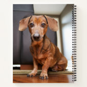 Carnet Animaux de bébés cutest | Mini chiot (Dos)