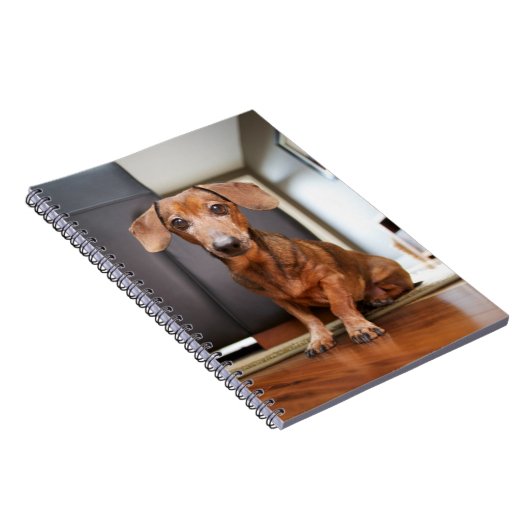 Carnet Animaux de bébés cutest | Mini chiot (Côté Droit)