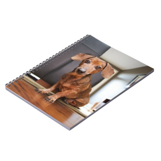 Carnet Animaux de bébés cutest | Mini chiot (Côté gauche)