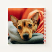 Carnet Animaux de bébés cutest | Miniature Pinscher (Dos)