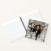 Carnet Animaux de bébés cutest | Moose Calf (Intérieur)