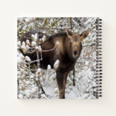 Carnet Animaux de bébés cutest | Moose Calf (Dos)