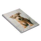 Carnet Animaux de bébés cutest | Norfolk Terrier Puppy (Côté Droit)