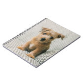 Carnet Animaux de bébés cutest | Norfolk Terrier Puppy (Côté gauche)