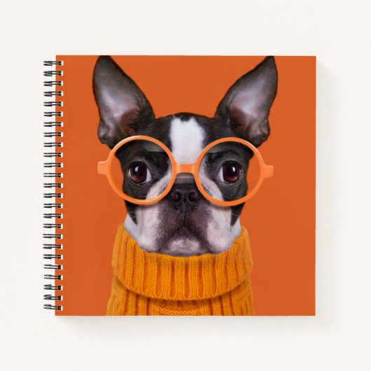 Carnet Animaux de bébés cutest | Orange Boston Terrier (Devant)