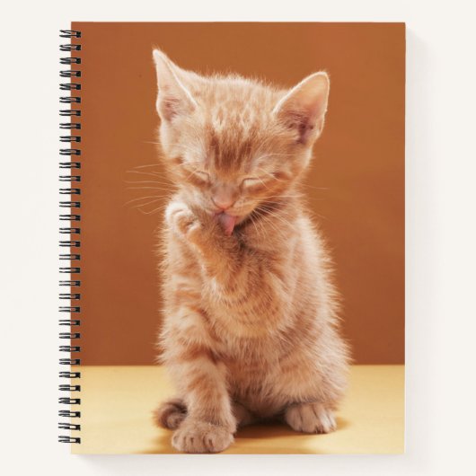 Carnet Animaux de bébés cutest | Orange Tabby Kitten (Devant)