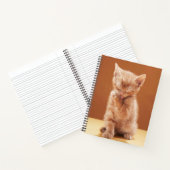 Carnet Animaux de bébés cutest | Orange Tabby Kitten (Intérieur)