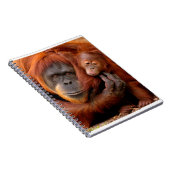 Carnet Animaux de bébés cutest | Orangutan Maman & Baby (Côté Droit)