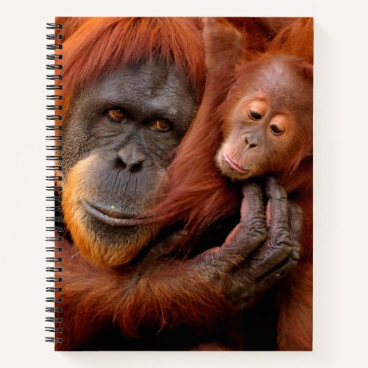 Carnet Animaux de bébés cutest | Orangutan Maman & Baby (Devant)