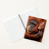 Carnet Animaux de bébés cutest | Orangutan Maman & Baby (Intérieur)