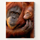 Carnet Animaux de bébés cutest | Orangutan Maman & Baby (Dos)