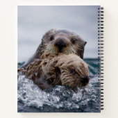 Carnet Animaux de bébés cutest | Otter Baby & Mère (Dos)