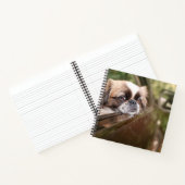 Carnet Animaux de bébés cutest | Pekingese Chiot en voitu (Intérieur)