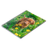 Carnet Animaux de bébés cutest | Pointeur (Côté gauche)