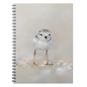 Carnet Animaux de bébés cutest   Poussette de tuyauterie