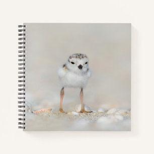 Carnet Animaux de bébés cutest Poussette de tuyauterie