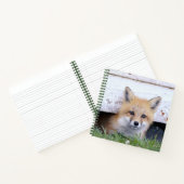 Carnet Animaux de bébés cutest | Red Fox Kit Peeking (Intérieur)