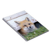 Carnet Animaux de bébés cutest | Red Fox Kit Peeking (Côté Droit)