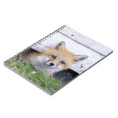 Carnet Animaux de bébés cutest | Red Fox Kit Peeking (Côté gauche)