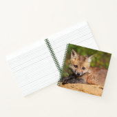 Carnet Animaux de bébés cutest | Red Fox Pup (Intérieur)