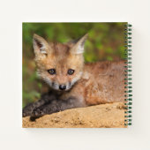 Carnet Animaux de bébés cutest | Red Fox Pup (Dos)