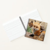 Carnet Animaux de bébés cutest | Renard rouge et bébé (Intérieur)