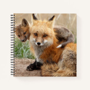 Carnet Animaux de bébés cutest Renard rouge et bébé