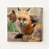 Carnet Animaux de bébés cutest | Renard rouge et bébé (Dos)