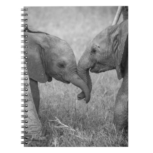 Carnet Animaux de bébés cutest | Salutation des éléphants (Devant)