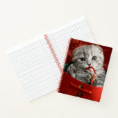 Carnet Animaux de bébés cutest | Scottish Fold Kitten (Intérieur)