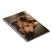 Carnet Animaux de bébés cutest | Shetland Sheepdog Puppy (Côté Droit)