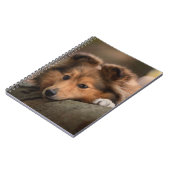 Carnet Animaux de bébés cutest | Shetland Sheepdog Puppy (Côté gauche)