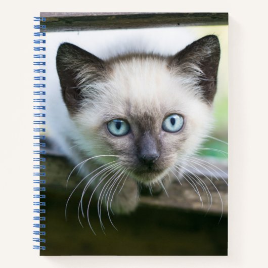 Carnet Animaux de bébés cutest | Siamese Kitten 2 (Devant)