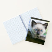 Carnet Animaux de bébés cutest | Siamese Kitten 2 (Intérieur)