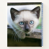 Carnet Animaux de bébés cutest | Siamese Kitten 2 (Dos)