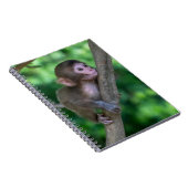 Carnet Animaux de bébés cutest | Singe bébé (Côté Droit)