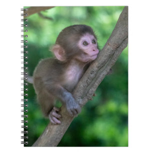 Carnet Animaux de bébés cutest Singe bébé
