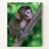 Carnet Animaux de bébés cutest | Singe bébé (Dos)